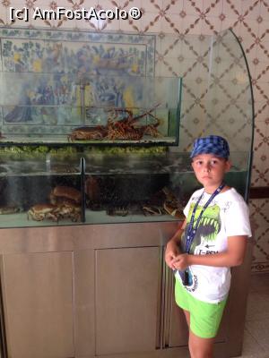 [P03]  -- <small>// FĂRĂ DESCRIERE</small> » foto by timaritza
 - 
<span class="allrVoted glyphicon glyphicon-heart hidden" id="av813251"></span>
<a class="m-l-10 hidden" id="sv813251" onclick="voting_Foto_DelVot(,813251,3414)" role="button">șterge vot <span class="glyphicon glyphicon-remove"></span></a>
<a id="v9813251" class=" c-red"  onclick="voting_Foto_SetVot(813251)" role="button"><span class="glyphicon glyphicon-heart-empty"></span> <b>LIKE</b> = Votează poza</a> <img class="hidden"  id="f813251W9" src="/imagini/loader.gif" border="0" /><span class="AjErrMes hidden" id="e813251ErM"></span>