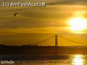 [P09] Podul 25 Aprilie » foto by GabrielaG
 - 
<span class="allrVoted glyphicon glyphicon-heart hidden" id="av829276"></span>
<a class="m-l-10 hidden" id="sv829276" onclick="voting_Foto_DelVot(,829276,3414)" role="button">șterge vot <span class="glyphicon glyphicon-remove"></span></a>
<a id="v9829276" class=" c-red"  onclick="voting_Foto_SetVot(829276)" role="button"><span class="glyphicon glyphicon-heart-empty"></span> <b>LIKE</b> = Votează poza</a> <img class="hidden"  id="f829276W9" src="/imagini/loader.gif" border="0" /><span class="AjErrMes hidden" id="e829276ErM"></span>