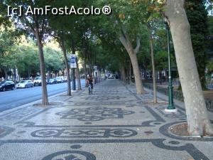 [P13] Avenida da Liberdades, bulevardul meu favorit unde calc pe medalioane florale » foto by mireille
 - 
<span class="allrVoted glyphicon glyphicon-heart hidden" id="av823989"></span>
<a class="m-l-10 hidden" id="sv823989" onclick="voting_Foto_DelVot(,823989,3414)" role="button">șterge vot <span class="glyphicon glyphicon-remove"></span></a>
<a id="v9823989" class=" c-red"  onclick="voting_Foto_SetVot(823989)" role="button"><span class="glyphicon glyphicon-heart-empty"></span> <b>LIKE</b> = Votează poza</a> <img class="hidden"  id="f823989W9" src="/imagini/loader.gif" border="0" /><span class="AjErrMes hidden" id="e823989ErM"></span>