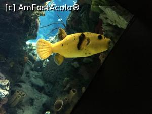 [P09]  -- <small>// FĂRĂ DESCRIERE</small> » foto by indiralisa_26
 - 
<span class="allrVoted glyphicon glyphicon-heart hidden" id="av783587"></span>
<a class="m-l-10 hidden" id="sv783587" onclick="voting_Foto_DelVot(,783587,3414)" role="button">șterge vot <span class="glyphicon glyphicon-remove"></span></a>
<a id="v9783587" class=" c-red"  onclick="voting_Foto_SetVot(783587)" role="button"><span class="glyphicon glyphicon-heart-empty"></span> <b>LIKE</b> = Votează poza</a> <img class="hidden"  id="f783587W9" src="/imagini/loader.gif" border="0" /><span class="AjErrMes hidden" id="e783587ErM"></span>