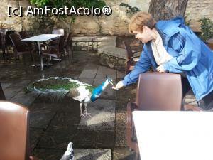 [P03]  -- <small>// FĂRĂ DESCRIERE</small> » foto by marimag
 - 
<span class="allrVoted glyphicon glyphicon-heart hidden" id="av723054"></span>
<a class="m-l-10 hidden" id="sv723054" onclick="voting_Foto_DelVot(,723054,3414)" role="button">șterge vot <span class="glyphicon glyphicon-remove"></span></a>
<a id="v9723054" class=" c-red"  onclick="voting_Foto_SetVot(723054)" role="button"><span class="glyphicon glyphicon-heart-empty"></span> <b>LIKE</b> = Votează poza</a> <img class="hidden"  id="f723054W9" src="/imagini/loader.gif" border="0" /><span class="AjErrMes hidden" id="e723054ErM"></span>