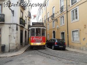 [P06]  -- <small>// FĂRĂ DESCRIERE</small> » foto by marimag
 - 
<span class="allrVoted glyphicon glyphicon-heart hidden" id="av723057"></span>
<a class="m-l-10 hidden" id="sv723057" onclick="voting_Foto_DelVot(,723057,3414)" role="button">șterge vot <span class="glyphicon glyphicon-remove"></span></a>
<a id="v9723057" class=" c-red"  onclick="voting_Foto_SetVot(723057)" role="button"><span class="glyphicon glyphicon-heart-empty"></span> <b>LIKE</b> = Votează poza</a> <img class="hidden"  id="f723057W9" src="/imagini/loader.gif" border="0" /><span class="AjErrMes hidden" id="e723057ErM"></span>