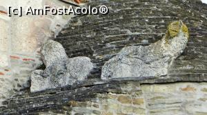 [P06] Detaliu cu cei doi lei romani de pe acoperiș (deasupra altarului) și cu tehnica de construcție a acoperișului (plăci de piatră)  » foto by Lucien
 - 
<span class="allrVoted glyphicon glyphicon-heart hidden" id="av835797"></span>
<a class="m-l-10 hidden" id="sv835797" onclick="voting_Foto_DelVot(,835797,3418)" role="button">șterge vot <span class="glyphicon glyphicon-remove"></span></a>
<a id="v9835797" class=" c-red"  onclick="voting_Foto_SetVot(835797)" role="button"><span class="glyphicon glyphicon-heart-empty"></span> <b>LIKE</b> = Votează poza</a> <img class="hidden"  id="f835797W9" src="/imagini/loader.gif" border="0" /><span class="AjErrMes hidden" id="e835797ErM"></span>