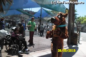 [P08] personajele din filme le intalnesti peste tot » foto by delia58
 - 
<span class="allrVoted glyphicon glyphicon-heart hidden" id="av518610"></span>
<a class="m-l-10 hidden" id="sv518610" onclick="voting_Foto_DelVot(,518610,3459)" role="button">șterge vot <span class="glyphicon glyphicon-remove"></span></a>
<a id="v9518610" class=" c-red"  onclick="voting_Foto_SetVot(518610)" role="button"><span class="glyphicon glyphicon-heart-empty"></span> <b>LIKE</b> = Votează poza</a> <img class="hidden"  id="f518610W9" src="/imagini/loader.gif" border="0" /><span class="AjErrMes hidden" id="e518610ErM"></span>