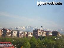 [P12]  -- <small>// FĂRĂ DESCRIERE</small> » foto by helen39
 - 
<span class="allrVoted glyphicon glyphicon-heart hidden" id="av193640"></span>
<a class="m-l-10 hidden" id="sv193640" onclick="voting_Foto_DelVot(,193640,3466)" role="button">șterge vot <span class="glyphicon glyphicon-remove"></span></a>
<a id="v9193640" class=" c-red"  onclick="voting_Foto_SetVot(193640)" role="button"><span class="glyphicon glyphicon-heart-empty"></span> <b>LIKE</b> = Votează poza</a> <img class="hidden"  id="f193640W9" src="/imagini/loader.gif" border="0" /><span class="AjErrMes hidden" id="e193640ErM"></span>