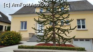 [P18]  -- <small>// FĂRĂ DESCRIERE</small> » foto by geani anto
 - 
<span class="allrVoted glyphicon glyphicon-heart hidden" id="av906350"></span>
<a class="m-l-10 hidden" id="sv906350" onclick="voting_Foto_DelVot(,906350,3489)" role="button">șterge vot <span class="glyphicon glyphicon-remove"></span></a>
<a id="v9906350" class=" c-red"  onclick="voting_Foto_SetVot(906350)" role="button"><span class="glyphicon glyphicon-heart-empty"></span> <b>LIKE</b> = Votează poza</a> <img class="hidden"  id="f906350W9" src="/imagini/loader.gif" border="0" /><span class="AjErrMes hidden" id="e906350ErM"></span>