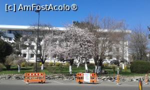 [P87] Plimbare prin Peninsulă » foto by adso
 - 
<span class="allrVoted glyphicon glyphicon-heart hidden" id="av1521640"></span>
<a class="m-l-10 hidden" id="sv1521640" onclick="voting_Foto_DelVot(,1521640,3496)" role="button">șterge vot <span class="glyphicon glyphicon-remove"></span></a>
<a id="v91521640" class=" c-red"  onclick="voting_Foto_SetVot(1521640)" role="button"><span class="glyphicon glyphicon-heart-empty"></span> <b>LIKE</b> = Votează poza</a> <img class="hidden"  id="f1521640W9" src="/imagini/loader.gif" border="0" /><span class="AjErrMes hidden" id="e1521640ErM"></span>