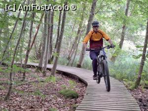 [P13] MTB-Tours Hareskoven, pe traseu » foto by Dragoș_MD
 - 
<span class="allrVoted glyphicon glyphicon-heart hidden" id="av1507517"></span>
<a class="m-l-10 hidden" id="sv1507517" onclick="voting_Foto_DelVot(,1507517,3497)" role="button">șterge vot <span class="glyphicon glyphicon-remove"></span></a>
<a id="v91507517" class=" c-red"  onclick="voting_Foto_SetVot(1507517)" role="button"><span class="glyphicon glyphicon-heart-empty"></span> <b>LIKE</b> = Votează poza</a> <img class="hidden"  id="f1507517W9" src="/imagini/loader.gif" border="0" /><span class="AjErrMes hidden" id="e1507517ErM"></span>