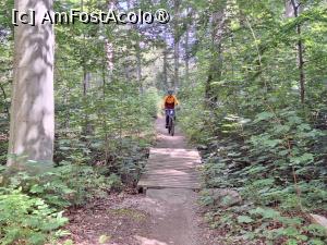 [P17] MTB-Tours Hareskoven, pe traseu » foto by Dragoș_MD
 - 
<span class="allrVoted glyphicon glyphicon-heart hidden" id="av1507521"></span>
<a class="m-l-10 hidden" id="sv1507521" onclick="voting_Foto_DelVot(,1507521,3497)" role="button">șterge vot <span class="glyphicon glyphicon-remove"></span></a>
<a id="v91507521" class=" c-red"  onclick="voting_Foto_SetVot(1507521)" role="button"><span class="glyphicon glyphicon-heart-empty"></span> <b>LIKE</b> = Votează poza</a> <img class="hidden"  id="f1507521W9" src="/imagini/loader.gif" border="0" /><span class="AjErrMes hidden" id="e1507521ErM"></span>