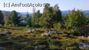 [P17] Muzeul Alta » foto by elenaadina
 - 
<span class="allrVoted glyphicon glyphicon-heart hidden" id="av1512714"></span>
<a class="m-l-10 hidden" id="sv1512714" onclick="voting_Foto_DelVot(,1512714,3499)" role="button">șterge vot <span class="glyphicon glyphicon-remove"></span></a>
<a id="v91512714" class=" c-red"  onclick="voting_Foto_SetVot(1512714)" role="button"><span class="glyphicon glyphicon-heart-empty"></span> <b>LIKE</b> = Votează poza</a> <img class="hidden"  id="f1512714W9" src="/imagini/loader.gif" border="0" /><span class="AjErrMes hidden" id="e1512714ErM"></span>