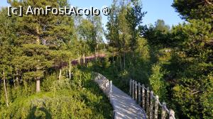 [P39]  -- <small>// FĂRĂ DESCRIERE</small> » foto by elenaadina
 - 
<span class="allrVoted glyphicon glyphicon-heart hidden" id="av1512736"></span>
<a class="m-l-10 hidden" id="sv1512736" onclick="voting_Foto_DelVot(,1512736,3499)" role="button">șterge vot <span class="glyphicon glyphicon-remove"></span></a>
<a id="v91512736" class=" c-red"  onclick="voting_Foto_SetVot(1512736)" role="button"><span class="glyphicon glyphicon-heart-empty"></span> <b>LIKE</b> = Votează poza</a> <img class="hidden"  id="f1512736W9" src="/imagini/loader.gif" border="0" /><span class="AjErrMes hidden" id="e1512736ErM"></span>