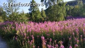 [P42]  -- <small>// FĂRĂ DESCRIERE</small> » foto by elenaadina
 - 
<span class="allrVoted glyphicon glyphicon-heart hidden" id="av1512739"></span>
<a class="m-l-10 hidden" id="sv1512739" onclick="voting_Foto_DelVot(,1512739,3499)" role="button">șterge vot <span class="glyphicon glyphicon-remove"></span></a>
<a id="v91512739" class=" c-red"  onclick="voting_Foto_SetVot(1512739)" role="button"><span class="glyphicon glyphicon-heart-empty"></span> <b>LIKE</b> = Votează poza</a> <img class="hidden"  id="f1512739W9" src="/imagini/loader.gif" border="0" /><span class="AjErrMes hidden" id="e1512739ErM"></span>