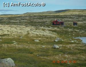 [P31]  -- <small>// FĂRĂ DESCRIERE</small> » foto by bucşa ioan*
 - 
<span class="allrVoted glyphicon glyphicon-heart hidden" id="av719283"></span>
<a class="m-l-10 hidden" id="sv719283" onclick="voting_Foto_DelVot(,719283,3499)" role="button">șterge vot <span class="glyphicon glyphicon-remove"></span></a>
<a id="v9719283" class=" c-red"  onclick="voting_Foto_SetVot(719283)" role="button"><span class="glyphicon glyphicon-heart-empty"></span> <b>LIKE</b> = Votează poza</a> <img class="hidden"  id="f719283W9" src="/imagini/loader.gif" border="0" /><span class="AjErrMes hidden" id="e719283ErM"></span>