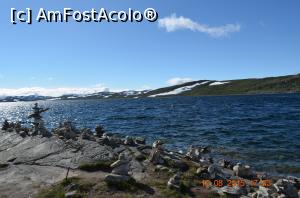 [P37]  -- <small>// FĂRĂ DESCRIERE</small> » foto by bucşa ioan*
 - 
<span class="allrVoted glyphicon glyphicon-heart hidden" id="av719289"></span>
<a class="m-l-10 hidden" id="sv719289" onclick="voting_Foto_DelVot(,719289,3499)" role="button">șterge vot <span class="glyphicon glyphicon-remove"></span></a>
<a id="v9719289" class=" c-red"  onclick="voting_Foto_SetVot(719289)" role="button"><span class="glyphicon glyphicon-heart-empty"></span> <b>LIKE</b> = Votează poza</a> <img class="hidden"  id="f719289W9" src="/imagini/loader.gif" border="0" /><span class="AjErrMes hidden" id="e719289ErM"></span>