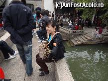 [P13]  -- <small>// FĂRĂ DESCRIERE</small> » foto by Marian Preda
 - 
<span class="allrVoted glyphicon glyphicon-heart hidden" id="av351025"></span>
<a class="m-l-10 hidden" id="sv351025" onclick="voting_Foto_DelVot(,351025,3501)" role="button">șterge vot <span class="glyphicon glyphicon-remove"></span></a>
<a id="v9351025" class=" c-red"  onclick="voting_Foto_SetVot(351025)" role="button"><span class="glyphicon glyphicon-heart-empty"></span> <b>LIKE</b> = Votează poza</a> <img class="hidden"  id="f351025W9" src="/imagini/loader.gif" border="0" /><span class="AjErrMes hidden" id="e351025ErM"></span>