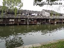 [P49]  -- <small>// FĂRĂ DESCRIERE</small> » foto by Marian Preda
 - 
<span class="allrVoted glyphicon glyphicon-heart hidden" id="av351066"></span>
<a class="m-l-10 hidden" id="sv351066" onclick="voting_Foto_DelVot(,351066,3501)" role="button">șterge vot <span class="glyphicon glyphicon-remove"></span></a>
<a id="v9351066" class=" c-red"  onclick="voting_Foto_SetVot(351066)" role="button"><span class="glyphicon glyphicon-heart-empty"></span> <b>LIKE</b> = Votează poza</a> <img class="hidden"  id="f351066W9" src="/imagini/loader.gif" border="0" /><span class="AjErrMes hidden" id="e351066ErM"></span>