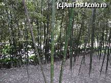 [P80]  -- <small>// FĂRĂ DESCRIERE</small> » foto by Marian Preda
 - 
<span class="allrVoted glyphicon glyphicon-heart hidden" id="av351099"></span>
<a class="m-l-10 hidden" id="sv351099" onclick="voting_Foto_DelVot(,351099,3501)" role="button">șterge vot <span class="glyphicon glyphicon-remove"></span></a>
<a id="v9351099" class=" c-red"  onclick="voting_Foto_SetVot(351099)" role="button"><span class="glyphicon glyphicon-heart-empty"></span> <b>LIKE</b> = Votează poza</a> <img class="hidden"  id="f351099W9" src="/imagini/loader.gif" border="0" /><span class="AjErrMes hidden" id="e351099ErM"></span>