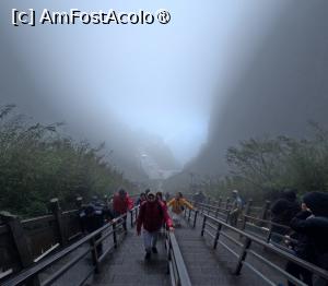 [P13] cele 999 de trepte in ceata » foto by elenaadina
 - 
<span class="allrVoted glyphicon glyphicon-heart hidden" id="av1505613"></span>
<a class="m-l-10 hidden" id="sv1505613" onclick="voting_Foto_DelVot(,1505613,3501)" role="button">șterge vot <span class="glyphicon glyphicon-remove"></span></a>
<a id="v91505613" class=" c-red"  onclick="voting_Foto_SetVot(1505613)" role="button"><span class="glyphicon glyphicon-heart-empty"></span> <b>LIKE</b> = Votează poza</a> <img class="hidden"  id="f1505613W9" src="/imagini/loader.gif" border="0" /><span class="AjErrMes hidden" id="e1505613ErM"></span>