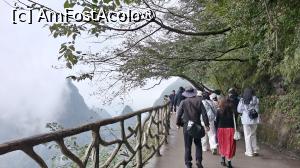 [P31]  -- <small>// FĂRĂ DESCRIERE</small> » foto by elenaadina
 - 
<span class="allrVoted glyphicon glyphicon-heart hidden" id="av1505631"></span>
<a class="m-l-10 hidden" id="sv1505631" onclick="voting_Foto_DelVot(,1505631,3501)" role="button">șterge vot <span class="glyphicon glyphicon-remove"></span></a>
<a id="v91505631" class=" c-red"  onclick="voting_Foto_SetVot(1505631)" role="button"><span class="glyphicon glyphicon-heart-empty"></span> <b>LIKE</b> = Votează poza</a> <img class="hidden"  id="f1505631W9" src="/imagini/loader.gif" border="0" /><span class="AjErrMes hidden" id="e1505631ErM"></span>