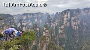 [P78]  -- <small>// FĂRĂ DESCRIERE</small> » foto by elenaadina
 - 
<span class="allrVoted glyphicon glyphicon-heart hidden" id="av1506567"></span>
<a class="m-l-10 hidden" id="sv1506567" onclick="voting_Foto_DelVot(,1506567,3501)" role="button">șterge vot <span class="glyphicon glyphicon-remove"></span></a>
<a id="v91506567" class=" c-red"  onclick="voting_Foto_SetVot(1506567)" role="button"><span class="glyphicon glyphicon-heart-empty"></span> <b>LIKE</b> = Votează poza</a> <img class="hidden"  id="f1506567W9" src="/imagini/loader.gif" border="0" /><span class="AjErrMes hidden" id="e1506567ErM"></span>