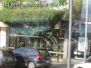 [P33] Ficus Benjamin crescut intr-un restaurant din Messina a fost foarte bine protejat.  » foto by bica adriana
 - 
<span class="allrVoted glyphicon glyphicon-heart hidden" id="av921117"></span>
<a class="m-l-10 hidden" id="sv921117" onclick="voting_Foto_DelVot(,921117,3509)" role="button">șterge vot <span class="glyphicon glyphicon-remove"></span></a>
<a id="v9921117" class=" c-red"  onclick="voting_Foto_SetVot(921117)" role="button"><span class="glyphicon glyphicon-heart-empty"></span> <b>LIKE</b> = Votează poza</a> <img class="hidden"  id="f921117W9" src="/imagini/loader.gif" border="0" /><span class="AjErrMes hidden" id="e921117ErM"></span>