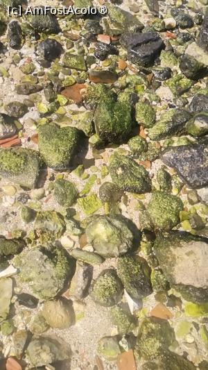 [P19] Langa micuta plaja de nisip din golf, gasiti cateva pietre interesante » foto by dorgo
 - 
<span class="allrVoted glyphicon glyphicon-heart hidden" id="av1508490"></span>
<a class="m-l-10 hidden" id="sv1508490" onclick="voting_Foto_DelVot(,1508490,3509)" role="button">șterge vot <span class="glyphicon glyphicon-remove"></span></a>
<a id="v91508490" class=" c-red"  onclick="voting_Foto_SetVot(1508490)" role="button"><span class="glyphicon glyphicon-heart-empty"></span> <b>LIKE</b> = Votează poza</a> <img class="hidden"  id="f1508490W9" src="/imagini/loader.gif" border="0" /><span class="AjErrMes hidden" id="e1508490ErM"></span>