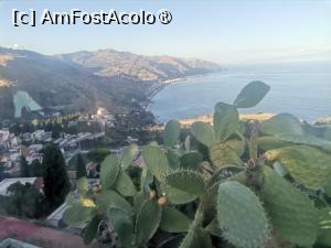 [P16] De pe terasa restaurantului, printre cactusi, poti admira marea si una din plajele din apropiere » foto by dorgo
 - 
<span class="allrVoted glyphicon glyphicon-heart hidden" id="av1509274"></span>
<a class="m-l-10 hidden" id="sv1509274" onclick="voting_Foto_DelVot(,1509274,3509)" role="button">șterge vot <span class="glyphicon glyphicon-remove"></span></a>
<a id="v91509274" class=" c-red"  onclick="voting_Foto_SetVot(1509274)" role="button"><span class="glyphicon glyphicon-heart-empty"></span> <b>LIKE</b> = Votează poza</a> <img class="hidden"  id="f1509274W9" src="/imagini/loader.gif" border="0" /><span class="AjErrMes hidden" id="e1509274ErM"></span>