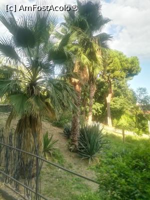 [P15] Hai-hui prin Parcul Bellini » foto by dorgo
 - 
<span class="allrVoted glyphicon glyphicon-heart hidden" id="av1510012"></span>
<a class="m-l-10 hidden" id="sv1510012" onclick="voting_Foto_DelVot(,1510012,3509)" role="button">șterge vot <span class="glyphicon glyphicon-remove"></span></a>
<a id="v91510012" class=" c-red"  onclick="voting_Foto_SetVot(1510012)" role="button"><span class="glyphicon glyphicon-heart-empty"></span> <b>LIKE</b> = Votează poza</a> <img class="hidden"  id="f1510012W9" src="/imagini/loader.gif" border="0" /><span class="AjErrMes hidden" id="e1510012ErM"></span>