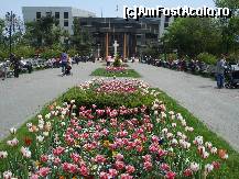 [P18] Covorul de lalele multicolore din Parcul Obor, ce mi-a placut cel mai mult si cladirea Primariei sect.2 » foto by ileanaxperta*
 - 
<span class="allrVoted glyphicon glyphicon-heart hidden" id="av67519"></span>
<a class="m-l-10 hidden" id="sv67519" onclick="voting_Foto_DelVot(,67519,3511)" role="button">șterge vot <span class="glyphicon glyphicon-remove"></span></a>
<a id="v967519" class=" c-red"  onclick="voting_Foto_SetVot(67519)" role="button"><span class="glyphicon glyphicon-heart-empty"></span> <b>LIKE</b> = Votează poza</a> <img class="hidden"  id="f67519W9" src="/imagini/loader.gif" border="0" /><span class="AjErrMes hidden" id="e67519ErM"></span>