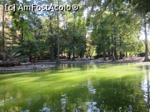 [P24] Prea multă vegetaţie pe lac » foto by Michi
 - 
<span class="allrVoted glyphicon glyphicon-heart hidden" id="av1259377"></span>
<a class="m-l-10 hidden" id="sv1259377" onclick="voting_Foto_DelVot(,1259377,3511)" role="button">șterge vot <span class="glyphicon glyphicon-remove"></span></a>
<a id="v91259377" class=" c-red"  onclick="voting_Foto_SetVot(1259377)" role="button"><span class="glyphicon glyphicon-heart-empty"></span> <b>LIKE</b> = Votează poza</a> <img class="hidden"  id="f1259377W9" src="/imagini/loader.gif" border="0" /><span class="AjErrMes hidden" id="e1259377ErM"></span>