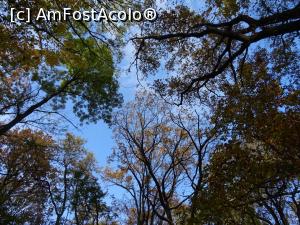 [P14] Toamna &icirc;n Pădurea Băneasa. » foto by tata123 🔱
 - 
<span class="allrVoted glyphicon glyphicon-heart hidden" id="av1264393"></span>
<a class="m-l-10 hidden" id="sv1264393" onclick="voting_Foto_DelVot(,1264393,3511)" role="button">șterge vot <span class="glyphicon glyphicon-remove"></span></a>
<a id="v91264393" class=" c-red"  onclick="voting_Foto_SetVot(1264393)" role="button"><span class="glyphicon glyphicon-heart-empty"></span> <b>LIKE</b> = Votează poza</a> <img class="hidden"  id="f1264393W9" src="/imagini/loader.gif" border="0" /><span class="AjErrMes hidden" id="e1264393ErM"></span>