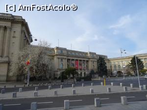 [P01] Palatul Regal - București.

P.S. Pe l&acirc;ngă fotografiile din 2021 am postat și c&acirc;teva imagini din anii trecuți. » foto by tata123 🔱
 - 
<span class="allrVoted glyphicon glyphicon-heart hidden" id="av1268416"></span>
<a class="m-l-10 hidden" id="sv1268416" onclick="voting_Foto_DelVot(,1268416,3511)" role="button">șterge vot <span class="glyphicon glyphicon-remove"></span></a>
<a id="v91268416" class=" c-red"  onclick="voting_Foto_SetVot(1268416)" role="button"><span class="glyphicon glyphicon-heart-empty"></span> <b>LIKE</b> = Votează poza</a> <img class="hidden"  id="f1268416W9" src="/imagini/loader.gif" border="0" /><span class="AjErrMes hidden" id="e1268416ErM"></span>