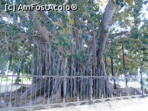 [P18] Giardino Garibaldi » foto by Carmen Ion
 - 
<span class="allrVoted glyphicon glyphicon-heart hidden" id="av1102110"></span>
<a class="m-l-10 hidden" id="sv1102110" onclick="voting_Foto_DelVot(,1102110,3527)" role="button">șterge vot <span class="glyphicon glyphicon-remove"></span></a>
<a id="v91102110" class=" c-red"  onclick="voting_Foto_SetVot(1102110)" role="button"><span class="glyphicon glyphicon-heart-empty"></span> <b>LIKE</b> = Votează poza</a> <img class="hidden"  id="f1102110W9" src="/imagini/loader.gif" border="0" /><span class="AjErrMes hidden" id="e1102110ErM"></span>