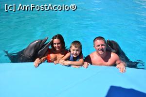 [P02] Poze cu delfinii » foto by Roxana Sirbu
 - 
<span class="allrVoted glyphicon glyphicon-heart hidden" id="av1258916"></span>
<a class="m-l-10 hidden" id="sv1258916" onclick="voting_Foto_DelVot(,1258916,3529)" role="button">șterge vot <span class="glyphicon glyphicon-remove"></span></a>
<a id="v91258916" class=" c-red"  onclick="voting_Foto_SetVot(1258916)" role="button"><span class="glyphicon glyphicon-heart-empty"></span> <b>LIKE</b> = Votează poza</a> <img class="hidden"  id="f1258916W9" src="/imagini/loader.gif" border="0" /><span class="AjErrMes hidden" id="e1258916ErM"></span>