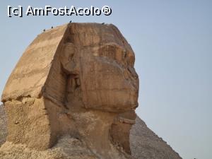 [P03] Sfinxul » foto by Roxana Sirbu
 - 
<span class="allrVoted glyphicon glyphicon-heart hidden" id="av1258917"></span>
<a class="m-l-10 hidden" id="sv1258917" onclick="voting_Foto_DelVot(,1258917,3529)" role="button">șterge vot <span class="glyphicon glyphicon-remove"></span></a>
<a id="v91258917" class=" c-red"  onclick="voting_Foto_SetVot(1258917)" role="button"><span class="glyphicon glyphicon-heart-empty"></span> <b>LIKE</b> = Votează poza</a> <img class="hidden"  id="f1258917W9" src="/imagini/loader.gif" border="0" /><span class="AjErrMes hidden" id="e1258917ErM"></span>