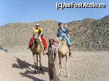 [P13] Dromaderul meu era mai lasat din cauza greutati » foto by artistul_18
 - 
<span class="allrVoted glyphicon glyphicon-heart hidden" id="av154929"></span>
<a class="m-l-10 hidden" id="sv154929" onclick="voting_Foto_DelVot(,154929,3529)" role="button">șterge vot <span class="glyphicon glyphicon-remove"></span></a>
<a id="v9154929" class=" c-red"  onclick="voting_Foto_SetVot(154929)" role="button"><span class="glyphicon glyphicon-heart-empty"></span> <b>LIKE</b> = Votează poza</a> <img class="hidden"  id="f154929W9" src="/imagini/loader.gif" border="0" /><span class="AjErrMes hidden" id="e154929ErM"></span>