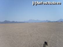 [P03] Operatorul 'Spiderman' filma peste tot » foto by artistul_18
 - 
<span class="allrVoted glyphicon glyphicon-heart hidden" id="av154919"></span>
<a class="m-l-10 hidden" id="sv154919" onclick="voting_Foto_DelVot(,154919,3529)" role="button">șterge vot <span class="glyphicon glyphicon-remove"></span></a>
<a id="v9154919" class=" c-red"  onclick="voting_Foto_SetVot(154919)" role="button"><span class="glyphicon glyphicon-heart-empty"></span> <b>LIKE</b> = Votează poza</a> <img class="hidden"  id="f154919W9" src="/imagini/loader.gif" border="0" /><span class="AjErrMes hidden" id="e154919ErM"></span>