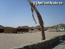 [P07] Sat de beduini » foto by artistul_18
 - 
<span class="allrVoted glyphicon glyphicon-heart hidden" id="av154923"></span>
<a class="m-l-10 hidden" id="sv154923" onclick="voting_Foto_DelVot(,154923,3529)" role="button">șterge vot <span class="glyphicon glyphicon-remove"></span></a>
<a id="v9154923" class=" c-red"  onclick="voting_Foto_SetVot(154923)" role="button"><span class="glyphicon glyphicon-heart-empty"></span> <b>LIKE</b> = Votează poza</a> <img class="hidden"  id="f154923W9" src="/imagini/loader.gif" border="0" /><span class="AjErrMes hidden" id="e154923ErM"></span>