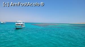 [P19] În jurul coralilor » foto by vlado2
 - 
<span class="allrVoted glyphicon glyphicon-heart hidden" id="av1523260"></span>
<a class="m-l-10 hidden" id="sv1523260" onclick="voting_Foto_DelVot(,1523260,3529)" role="button">șterge vot <span class="glyphicon glyphicon-remove"></span></a>
<a id="v91523260" class=" c-red"  onclick="voting_Foto_SetVot(1523260)" role="button"><span class="glyphicon glyphicon-heart-empty"></span> <b>LIKE</b> = Votează poza</a> <img class="hidden"  id="f1523260W9" src="/imagini/loader.gif" border="0" /><span class="AjErrMes hidden" id="e1523260ErM"></span>