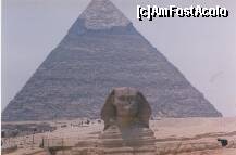[P01] Excursie Cairo - Sfinxul in umbra piramidei » foto by presario
 - 
<span class="allrVoted glyphicon glyphicon-heart hidden" id="av136122"></span>
<a class="m-l-10 hidden" id="sv136122" onclick="voting_Foto_DelVot(,136122,3529)" role="button">șterge vot <span class="glyphicon glyphicon-remove"></span></a>
<a id="v9136122" class=" c-red"  onclick="voting_Foto_SetVot(136122)" role="button"><span class="glyphicon glyphicon-heart-empty"></span> <b>LIKE</b> = Votează poza</a> <img class="hidden"  id="f136122W9" src="/imagini/loader.gif" border="0" /><span class="AjErrMes hidden" id="e136122ErM"></span>