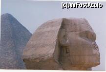 [P02] Excursie Cairo - Sfinxul de aproape » foto by presario
 - 
<span class="allrVoted glyphicon glyphicon-heart hidden" id="av136123"></span>
<a class="m-l-10 hidden" id="sv136123" onclick="voting_Foto_DelVot(,136123,3529)" role="button">șterge vot <span class="glyphicon glyphicon-remove"></span></a>
<a id="v9136123" class=" c-red"  onclick="voting_Foto_SetVot(136123)" role="button"><span class="glyphicon glyphicon-heart-empty"></span> <b>LIKE</b> = Votează poza</a> <img class="hidden"  id="f136123W9" src="/imagini/loader.gif" border="0" /><span class="AjErrMes hidden" id="e136123ErM"></span>