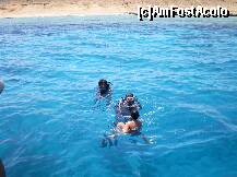 [P21] Croaziera cu vaporasul la Sharm El Sheikh - la 2 metri sub apa sunt corali » foto by presario
 - 
<span class="allrVoted glyphicon glyphicon-heart hidden" id="av136149"></span>
<a class="m-l-10 hidden" id="sv136149" onclick="voting_Foto_DelVot(,136149,3529)" role="button">șterge vot <span class="glyphicon glyphicon-remove"></span></a>
<a id="v9136149" class=" c-red"  onclick="voting_Foto_SetVot(136149)" role="button"><span class="glyphicon glyphicon-heart-empty"></span> <b>LIKE</b> = Votează poza</a> <img class="hidden"  id="f136149W9" src="/imagini/loader.gif" border="0" /><span class="AjErrMes hidden" id="e136149ErM"></span>