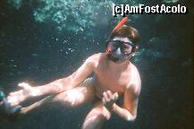 [P32] Un turist ratacit printre corali - poza facuta de mine cu aparat foto subacvatic. » foto by presario
 - 
<span class="allrVoted glyphicon glyphicon-heart hidden" id="av136193"></span>
<a class="m-l-10 hidden" id="sv136193" onclick="voting_Foto_DelVot(,136193,3529)" role="button">șterge vot <span class="glyphicon glyphicon-remove"></span></a>
<a id="v9136193" class=" c-red"  onclick="voting_Foto_SetVot(136193)" role="button"><span class="glyphicon glyphicon-heart-empty"></span> <b>LIKE</b> = Votează poza</a> <img class="hidden"  id="f136193W9" src="/imagini/loader.gif" border="0" /><span class="AjErrMes hidden" id="e136193ErM"></span>