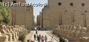 [P24] Intrare Templul de la Karnak - Aleea Sfincșilor.  » foto by Aurici
 - 
<span class="allrVoted glyphicon glyphicon-heart hidden" id="av1158263"></span>
<a class="m-l-10 hidden" id="sv1158263" onclick="voting_Foto_DelVot(,1158263,3529)" role="button">șterge vot <span class="glyphicon glyphicon-remove"></span></a>
<a id="v91158263" class=" c-red"  onclick="voting_Foto_SetVot(1158263)" role="button"><span class="glyphicon glyphicon-heart-empty"></span> <b>LIKE</b> = Votează poza</a> <img class="hidden"  id="f1158263W9" src="/imagini/loader.gif" border="0" /><span class="AjErrMes hidden" id="e1158263ErM"></span>