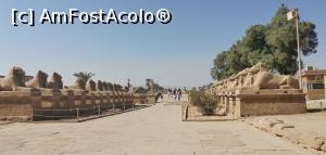 [P29] Ieșim din Templul din Karnak, pe aceeași Alee a Sfincșilor pe care am intrat.  » foto by Aurici
 - 
<span class="allrVoted glyphicon glyphicon-heart hidden" id="av1158268"></span>
<a class="m-l-10 hidden" id="sv1158268" onclick="voting_Foto_DelVot(,1158268,3529)" role="button">șterge vot <span class="glyphicon glyphicon-remove"></span></a>
<a id="v91158268" class=" c-red"  onclick="voting_Foto_SetVot(1158268)" role="button"><span class="glyphicon glyphicon-heart-empty"></span> <b>LIKE</b> = Votează poza</a> <img class="hidden"  id="f1158268W9" src="/imagini/loader.gif" border="0" /><span class="AjErrMes hidden" id="e1158268ErM"></span>