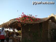 [P13] Mergem spre masa. » foto by costin1968
 - 
<span class="allrVoted glyphicon glyphicon-heart hidden" id="av153117"></span>
<a class="m-l-10 hidden" id="sv153117" onclick="voting_Foto_DelVot(,153117,3529)" role="button">șterge vot <span class="glyphicon glyphicon-remove"></span></a>
<a id="v9153117" class=" c-red"  onclick="voting_Foto_SetVot(153117)" role="button"><span class="glyphicon glyphicon-heart-empty"></span> <b>LIKE</b> = Votează poza</a> <img class="hidden"  id="f153117W9" src="/imagini/loader.gif" border="0" /><span class="AjErrMes hidden" id="e153117ErM"></span>