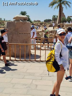 [P93] Emoționată maxim, &icirc;nconjuram scarabeul » foto by krisstinna
 - 
<span class="allrVoted glyphicon glyphicon-heart hidden" id="av1281266"></span>
<a class="m-l-10 hidden" id="sv1281266" onclick="voting_Foto_DelVot(,1281266,3529)" role="button">șterge vot <span class="glyphicon glyphicon-remove"></span></a>
<a id="v91281266" class=" c-red"  onclick="voting_Foto_SetVot(1281266)" role="button"><span class="glyphicon glyphicon-heart-empty"></span> <b>LIKE</b> = Votează poza</a> <img class="hidden"  id="f1281266W9" src="/imagini/loader.gif" border="0" /><span class="AjErrMes hidden" id="e1281266ErM"></span>