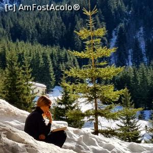 [P11] Transfagarasan » foto by CatalinaTT
 - 
<span class="allrVoted glyphicon glyphicon-heart hidden" id="av1379567"></span>
<a class="m-l-10 hidden" id="sv1379567" onclick="voting_Foto_DelVot(,1379567,3541)" role="button">șterge vot <span class="glyphicon glyphicon-remove"></span></a>
<a id="v91379567" class=" c-red"  onclick="voting_Foto_SetVot(1379567)" role="button"><span class="glyphicon glyphicon-heart-empty"></span> <b>LIKE</b> = Votează poza</a> <img class="hidden"  id="f1379567W9" src="/imagini/loader.gif" border="0" /><span class="AjErrMes hidden" id="e1379567ErM"></span>