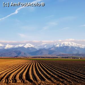 [P08] Vedere spre muntii Fagaras » foto by CatalinaTT
 - 
<span class="allrVoted glyphicon glyphicon-heart hidden" id="av1379564"></span>
<a class="m-l-10 hidden" id="sv1379564" onclick="voting_Foto_DelVot(,1379564,3541)" role="button">șterge vot <span class="glyphicon glyphicon-remove"></span></a>
<a id="v91379564" class=" c-red"  onclick="voting_Foto_SetVot(1379564)" role="button"><span class="glyphicon glyphicon-heart-empty"></span> <b>LIKE</b> = Votează poza</a> <img class="hidden"  id="f1379564W9" src="/imagini/loader.gif" border="0" /><span class="AjErrMes hidden" id="e1379564ErM"></span>