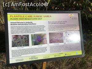 [P15] Ce este flora și ce anume crește în zonă » foto by Yersinia Pestis
 - 
<span class="allrVoted glyphicon glyphicon-heart hidden" id="av1258404"></span>
<a class="m-l-10 hidden" id="sv1258404" onclick="voting_Foto_DelVot(,1258404,3566)" role="button">șterge vot <span class="glyphicon glyphicon-remove"></span></a>
<a id="v91258404" class=" c-red"  onclick="voting_Foto_SetVot(1258404)" role="button"><span class="glyphicon glyphicon-heart-empty"></span> <b>LIKE</b> = Votează poza</a> <img class="hidden"  id="f1258404W9" src="/imagini/loader.gif" border="0" /><span class="AjErrMes hidden" id="e1258404ErM"></span>